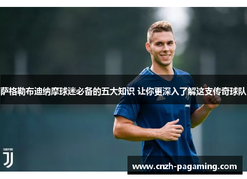 萨格勒布迪纳摩球迷必备的五大知识 让你更深入了解这支传奇球队