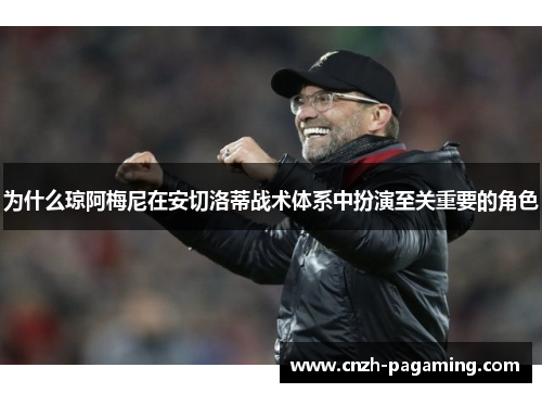 为什么琼阿梅尼在安切洛蒂战术体系中扮演至关重要的角色