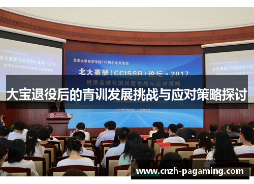 大宝退役后的青训发展挑战与应对策略探讨 大宝退役后的青训发展挑战与应对策略探讨