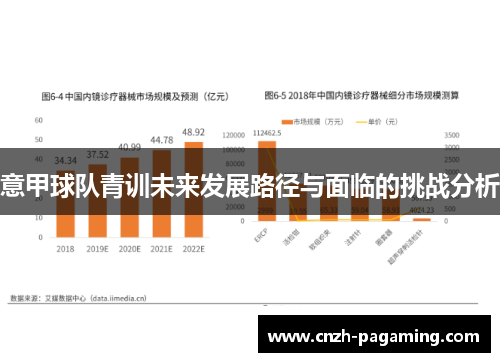 意甲球队青训未来发展路径与面临的挑战分析 意甲球队青训未来发展路径与面临的挑战分析