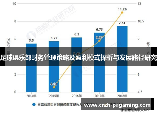 足球俱乐部财务管理策略及盈利模式探析与发展路径研究